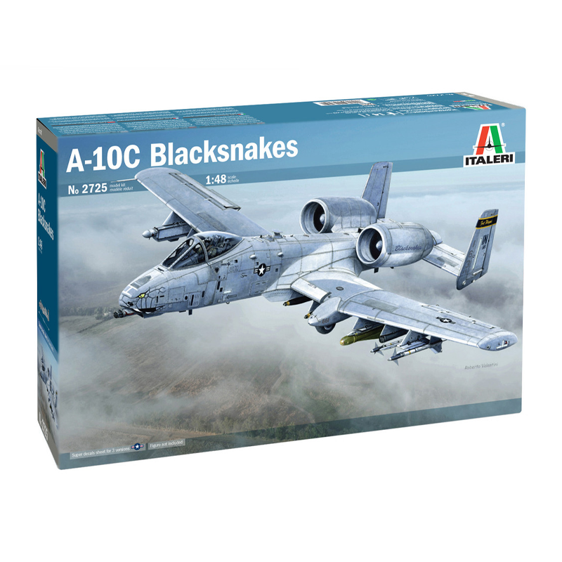 2725 - A-10C "BLACKSNAKES" 1/48