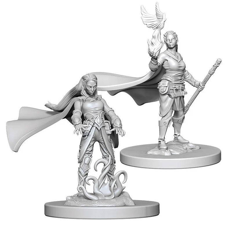 D&D NOLZUR'S - ELF FEMALE DRUID