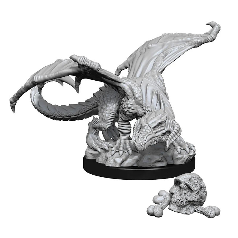 D&D NOLZUR'S - BLACK DRAGON WYRMLING