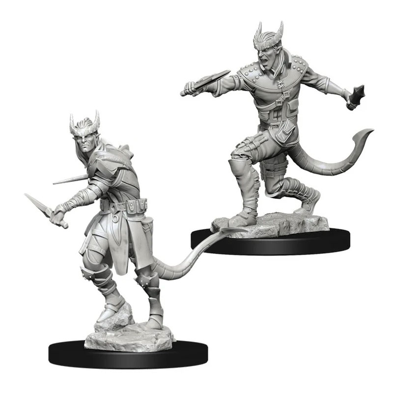 D&D NOLZUR'S - TIEFLING MALE ROGUE