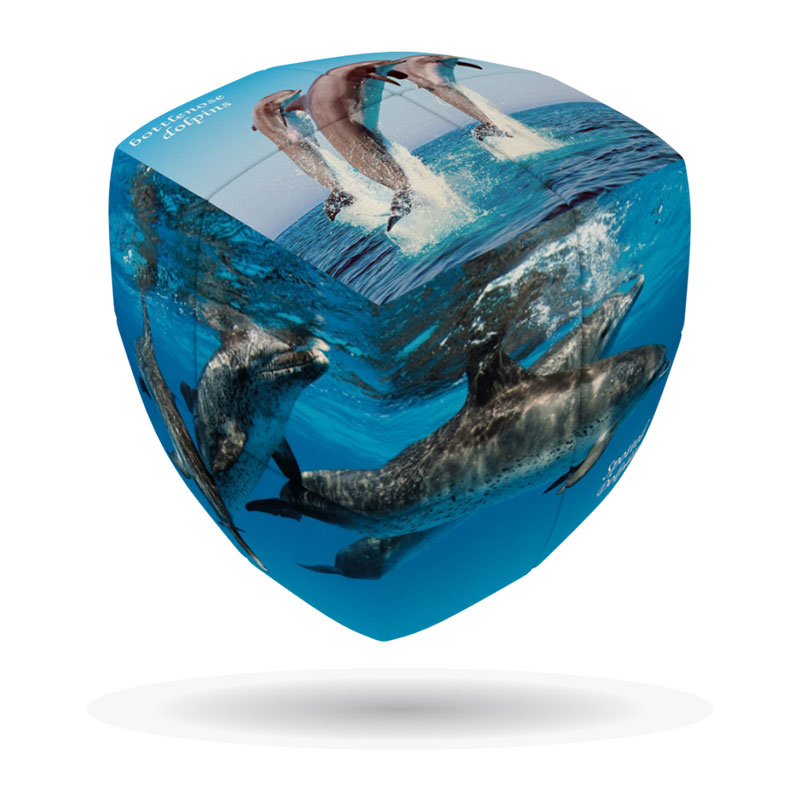 V-CUBE 2X2 PILLOW: DOLPHINS