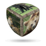 V-CUBE 2X2 PILLOW: WILD ANIMALS
