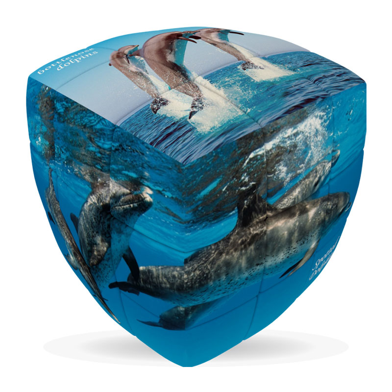 V-CUBE 3X3 PILLOW: DOLPHINS