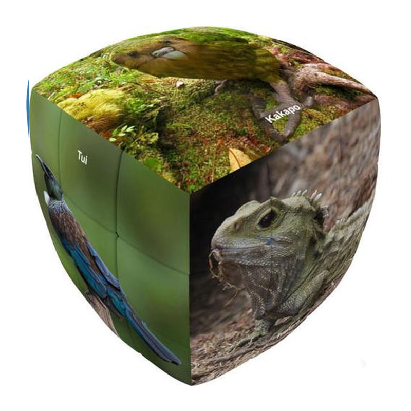 V-CUBE 3X3 PILLOW: NEW ZEALAND