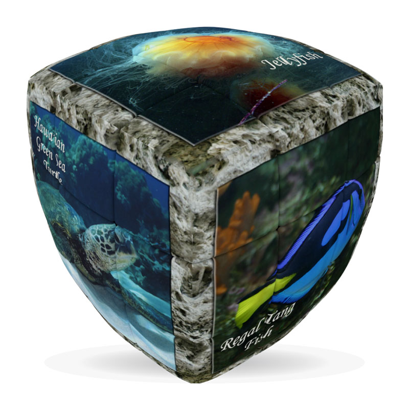 V-CUBE 3X3 PILLOW: SEA WORLD