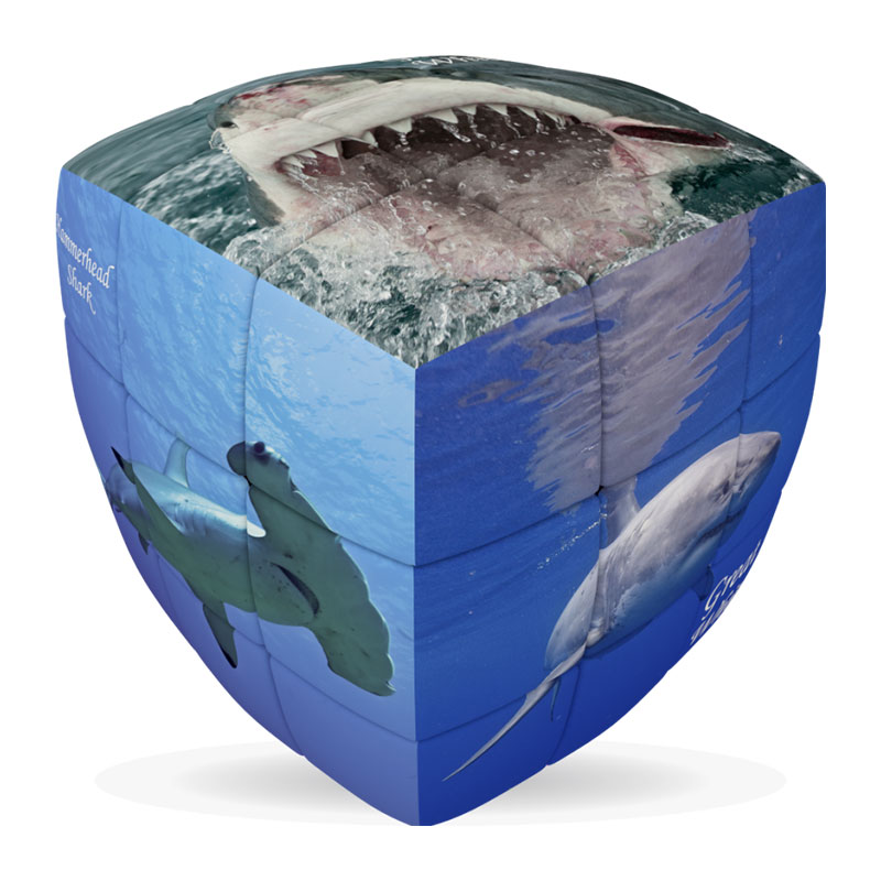 V-CUBE 3X3 PILLOW: SHARKS
