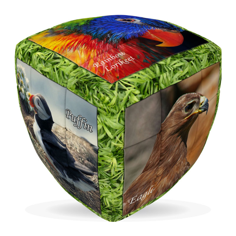 V-CUBE 3X3 PILLOW: UNIQUE BIRDS