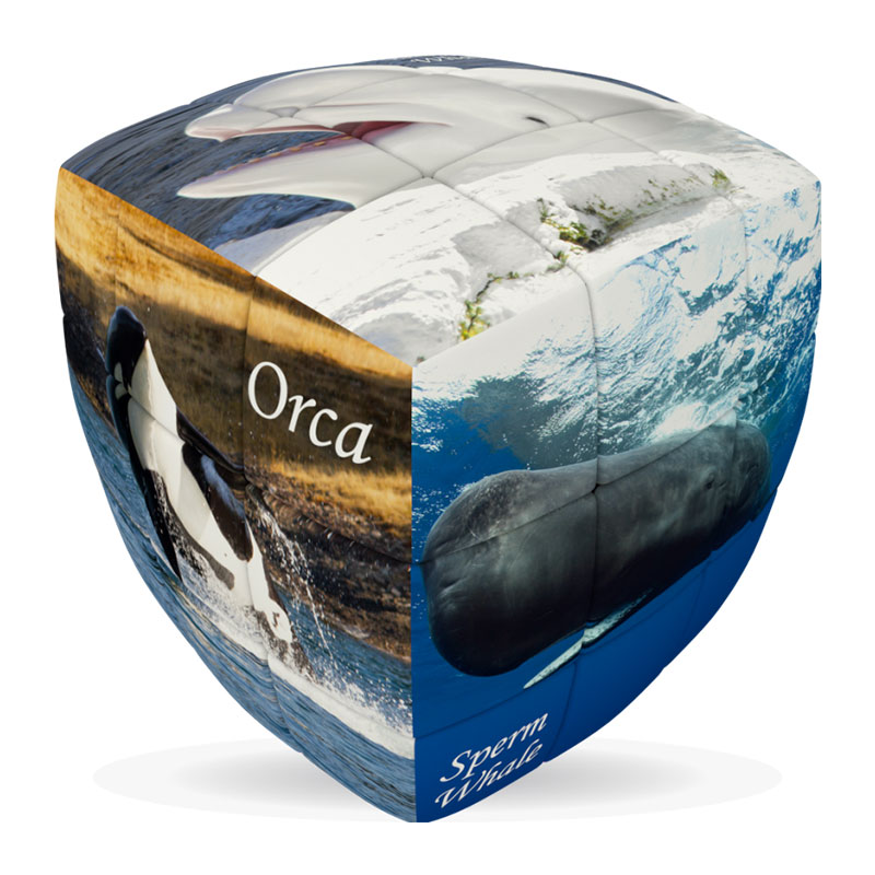 V-CUBE 3X3 PILLOW: WHALES