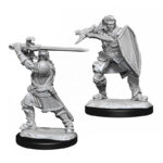D&D NOLZUR'S HUMAN PALADIN MALE