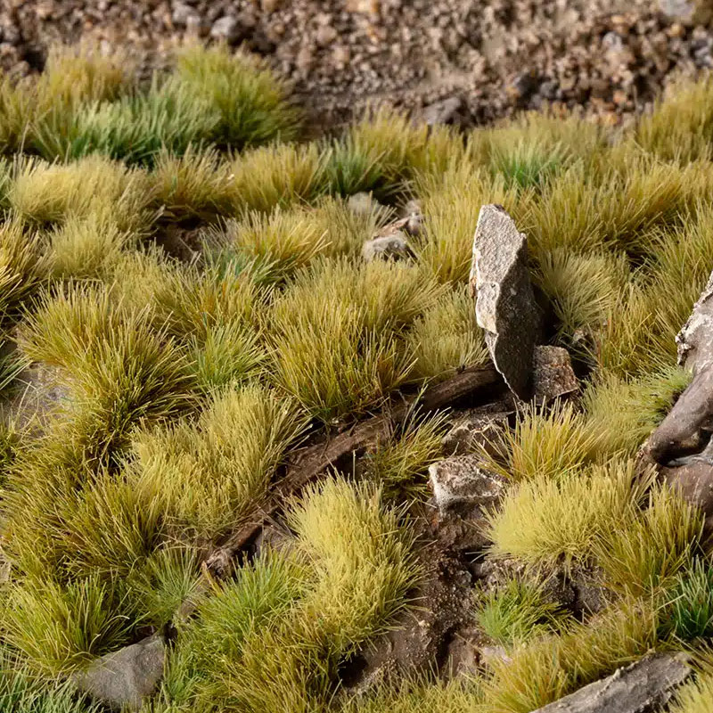 https://cartamagica.hr/wp-content/uploads/2025/05/GREEN-MEADOW-SET-WILD_2.jpg