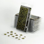 LASER PLANTS - DUMB CANE