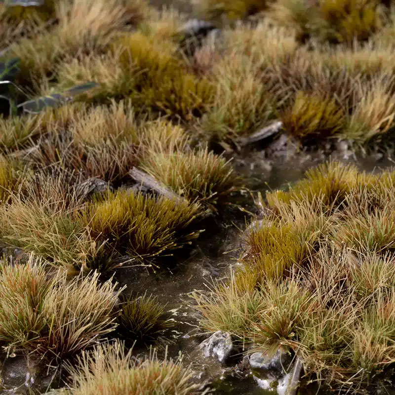 https://cartamagica.hr/wp-content/uploads/2025/05/TUFTS-MARSHLAND-SET-WILD_2.jpg