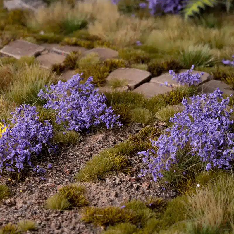 https://cartamagica.hr/wp-content/uploads/2025/05/TUFTS-VIOLET-FLOWERS-WILD_2.jpg