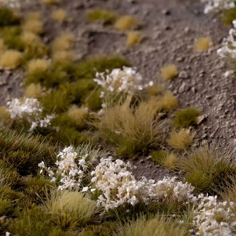 https://cartamagica.hr/wp-content/uploads/2025/05/TUFTS-WHITE-FLOWERS-WILD_2.jpg