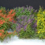 BUSH SET BLOSSOM