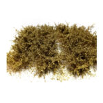 BUSH TUFTS WINTER