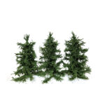 SPRUCE SET 3PCS 10CM OLIVE GREEN