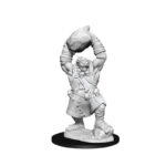 PATHFINDER BATTLES DEEP CUTS - OGRE