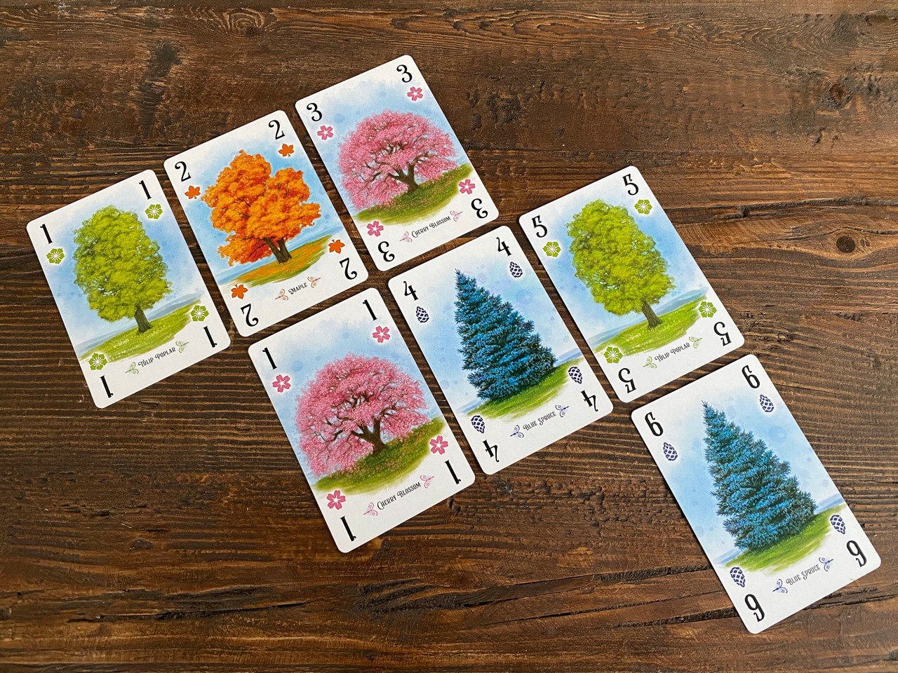 https://cartamagica.hr/wp-content/uploads/2025/09/Arboretum_2.jpg