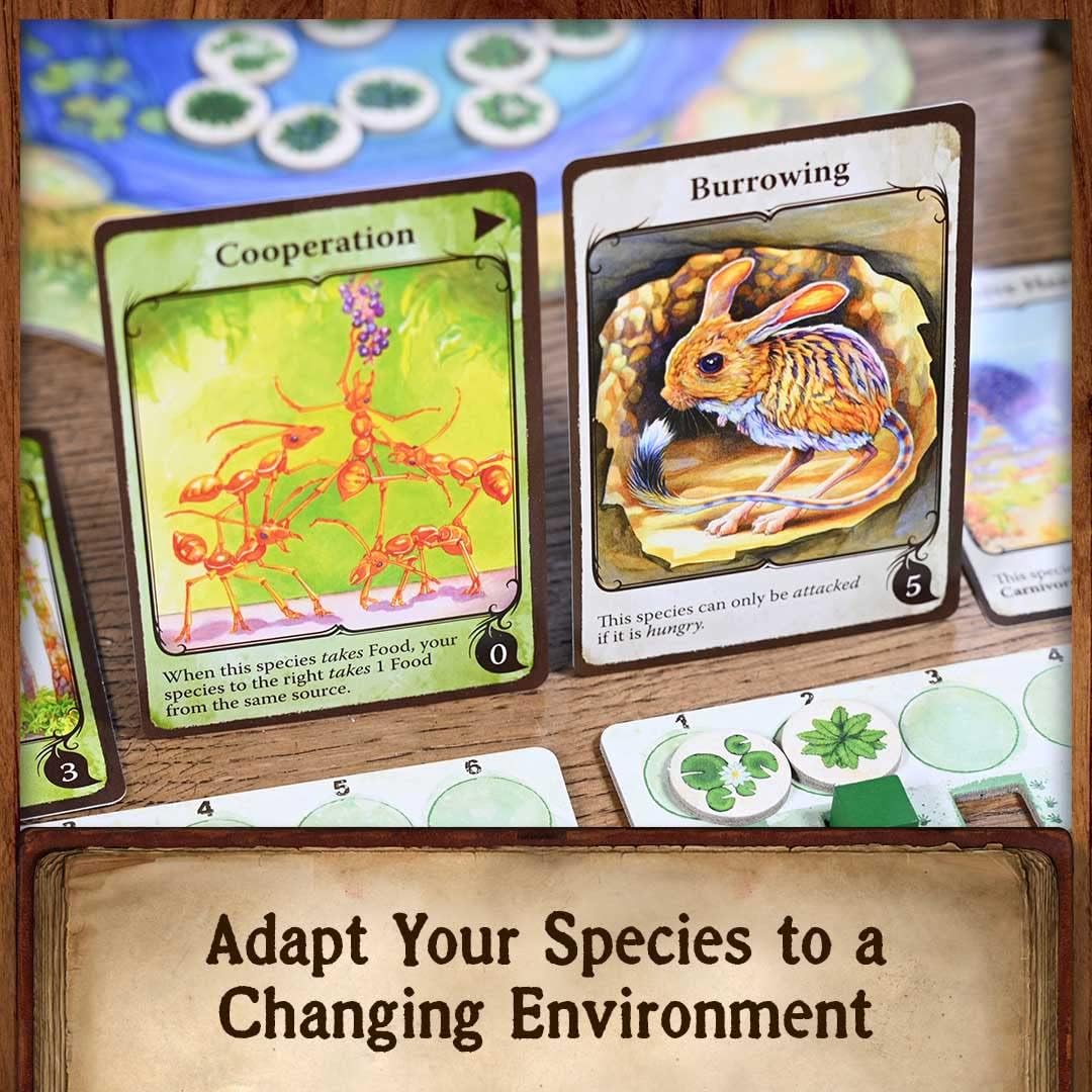 https://cartamagica.hr/wp-content/uploads/2025/09/Evolution_5.jpg