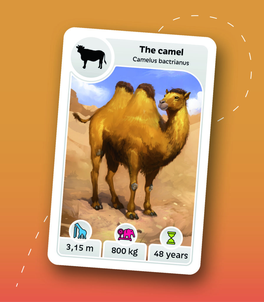 https://cartamagica.hr/wp-content/uploads/2025/11/Cardline_2.jpg