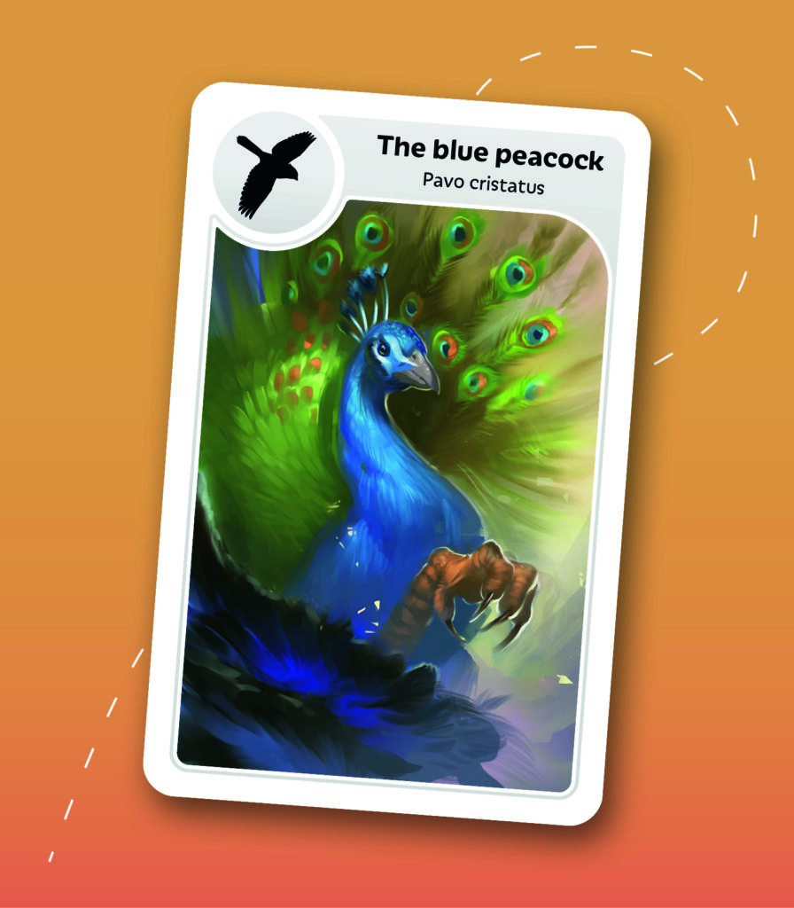 https://cartamagica.hr/wp-content/uploads/2025/11/Cardline_3.jpg