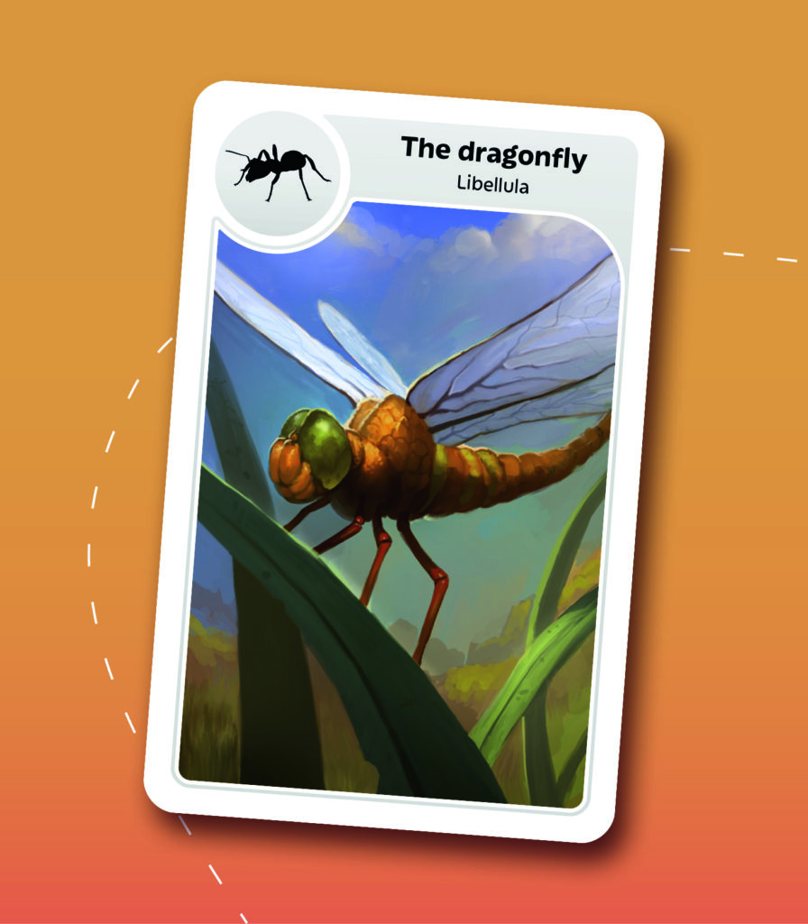 https://cartamagica.hr/wp-content/uploads/2025/11/Cardline_4.jpg