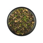 KRAUTCOVER SCENICS - KODAMA WOODS BASECOVER (140ML)