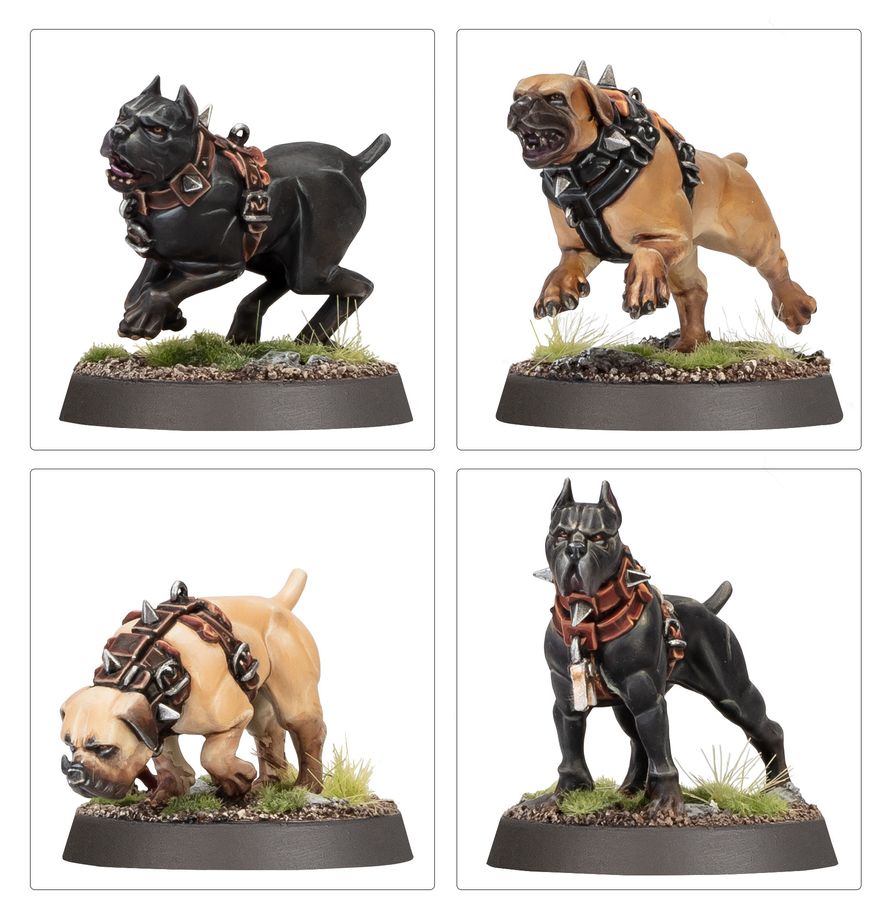 https://cartamagica.hr/wp-content/uploads/2026/06/CITIES-OF-SIGMAR-Regiment-of-Renown-Ven-Densts-Hounds_5.jpg